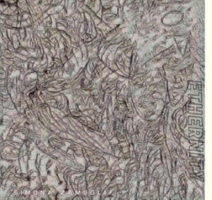 Simona Zamboli - Ethernity ryhmässä VINYYLI @ Bengans Skivbutik AB (4029916)