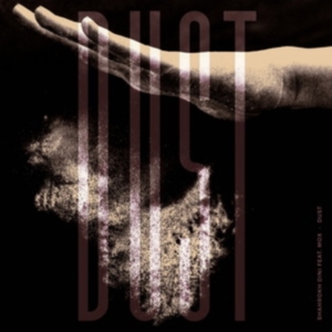 Dini Shahrokh Feat Mox - Dust ryhmässä VINYYLI @ Bengans Skivbutik AB (4035358)
