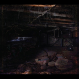 Medeski John - Crawlspace ryhmässä CD @ Bengans Skivbutik AB (4035448)