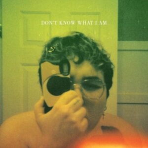 Alien Boy - Don't Know What I Am ryhmässä CD @ Bengans Skivbutik AB (4039885)