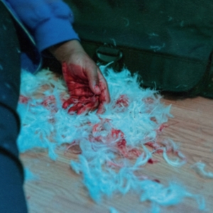 Kaonashi - Dear Lemon House, You Ruined Me: Se ryhmässä CD @ Bengans Skivbutik AB (4044197)