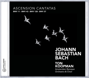 Amsterdam Baroque Orchestra & Ton Koopman - Bach: Ascension Cantatas ryhmässä CD @ Bengans Skivbutik AB (4045613)