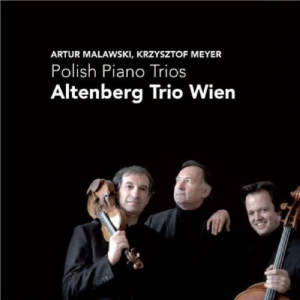Altenberg Trio Wien - Polish Piano Trios ryhmässä CD @ Bengans Skivbutik AB (4045681)