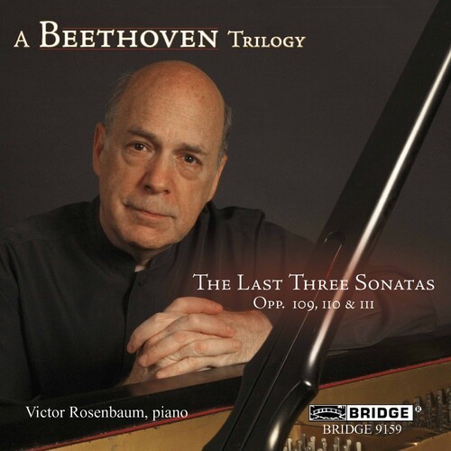 Beethoven Ludwig Van - Last 3 Sonatas ryhmässä CD / Klassiskt @ Bengans Skivbutik AB (4049909)