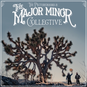 Picturebooks The - The Major Minor Collective ryhmässä VINYYLI @ Bengans Skivbutik AB (4051628)
