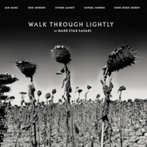 Dark Star Safari - Walk Through Lightly ryhmässä VINYYLI @ Bengans Skivbutik AB (4053895)