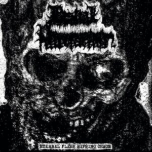 Bestial Putrefaction - Eternal Flesh Ripping Chaos ryhmässä VINYYLI @ Bengans Skivbutik AB (4054114)