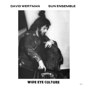Wertman David And Sun Ensemble - Wide Eye Culture - Deluxe Version ryhmässä VINYYLI @ Bengans Skivbutik AB (4054126)