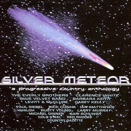 Various Artists - Silver Meteor : A Progressive Count ryhmässä CD / Country @ Bengans Skivbutik AB (4054254)