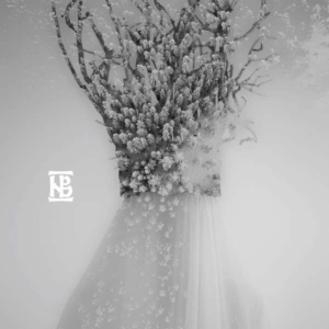 Negura Bunget - Zau (Black Vinyl Lp) ryhmässä VINYYLI @ Bengans Skivbutik AB (4056149)