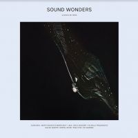 Various Artists - Sound Wonders ryhmässä VINYYLI @ Bengans Skivbutik AB (4056791)