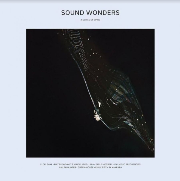 Various Artists - Sound Wonders ryhmässä VINYYLI / Myydyimmät @ Bengans Skivbutik AB (4056791)
