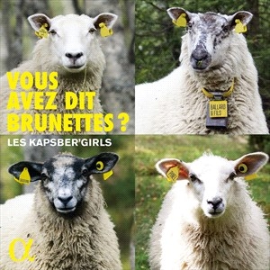 Various - Vous Avez Dit Brunettes? ryhmässä CD @ Bengans Skivbutik AB (4058503)