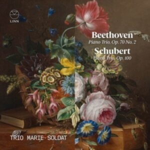 Beethoven Ludwig Van Schubert Fr - Beethoven: Piano Trio, Op. 70 No. 2 ryhmässä CD @ Bengans Skivbutik AB (4060580)