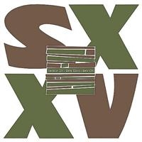 SECTION 25 - DIRTY DISCO ryhmässä CD @ Bengans Skivbutik AB (4073199)