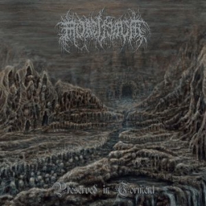 Mortiferum - Preserved In Torment ryhmässä CD @ Bengans Skivbutik AB (4076512)