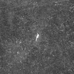 Birds Of Passage - The Last Garden ryhmässä VINYYLI @ Bengans Skivbutik AB (4076930)