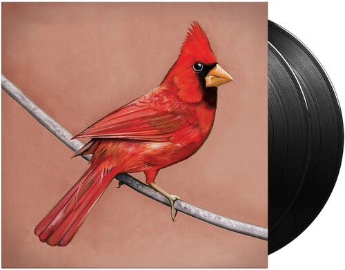 Alexisonfire - Old Crows / Young Cardinals ryhmässä VINYYLI / Myydyimmät @ Bengans Skivbutik AB (4077175)