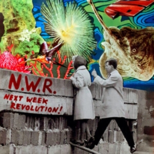 Next Week Revolution N.W.R. - Next Week Revolution ryhmässä VINYYLI @ Bengans Skivbutik AB (4077194)
