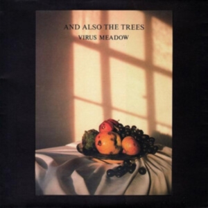 And Also The Trees - Virus Meadow ryhmässä CD @ Bengans Skivbutik AB (4077301)