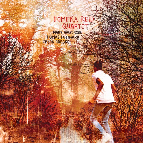 Tomeka Reid - Tomeka Reid Quartet ryhmässä CD / Myydyimmät @ Bengans Skivbutik AB (4077962)