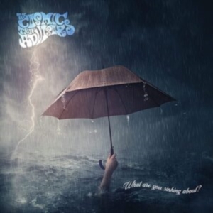 Cosmic Trip Advisors - What Are You Sinking About? ryhmässä CD @ Bengans Skivbutik AB (4095163)