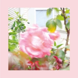 Reds Pinks & Purples - Summer At Land's End ryhmässä CD @ Bengans Skivbutik AB (4098113)