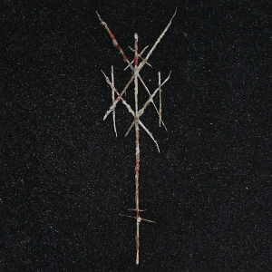 Wiegedood - There's Always Blood At The End Of The Road ryhmässä VINYYLI @ Bengans Skivbutik AB (4101070)