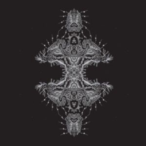 Pfirter - Altered States ryhmässä VINYYLI @ Bengans Skivbutik AB (4108662)