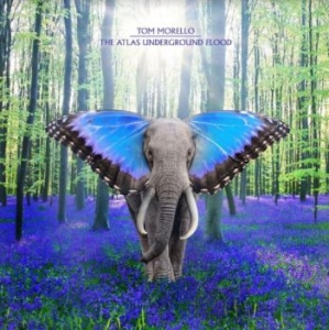 Morello Tom - The Atlas Underground Flood ryhmässä CD @ Bengans Skivbutik AB (4110499)