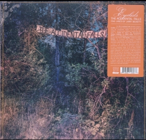 Eyelids - Accidental Falls ryhmässä VINYYLI @ Bengans Skivbutik AB (4113251)