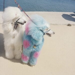 Exek - Advertise Here ryhmässä CD @ Bengans Skivbutik AB (4113274)