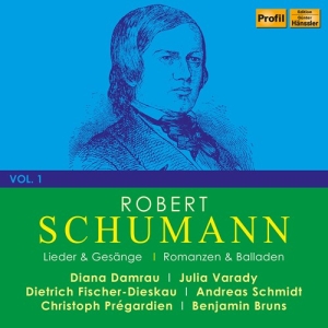 Schumann Robert - Robert Schumann, Vol. 1 (4Cd) ryhmässä CD @ Bengans Skivbutik AB (4114305)