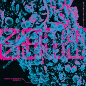 S.H.I.T. - Hidden In Eternity / Eraser Iii ryhmässä VINYYLI @ Bengans Skivbutik AB (4114810)