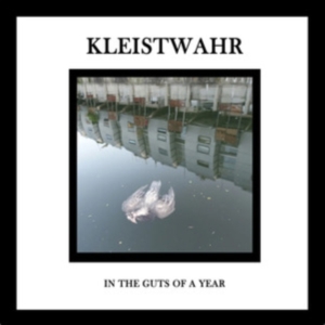 Kleistwahr - In The Guts Of A Year ryhmässä CD @ Bengans Skivbutik AB (4114863)