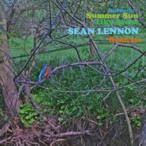 Berry Matt - Summer Sun (Sean Ono Lennon Remix) ryhmässä VINYYLI @ Bengans Skivbutik AB (4116095)