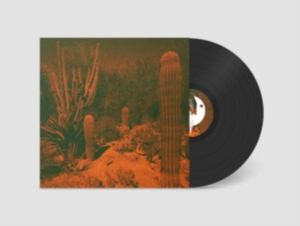 Knowler Cameron & Eli Winter - Anticipation ryhmässä VINYYLI @ Bengans Skivbutik AB (4117907)