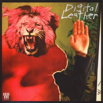 Hussy/Digital Leather - Split Lp ryhmässä VINYYLI / Rock @ Bengans Skivbutik AB (4117916)