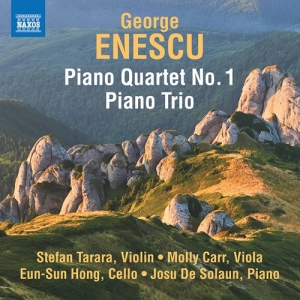 Enescu George - Piano Trio In A Minor & Piano Quart ryhmässä CD @ Bengans Skivbutik AB (4119351)