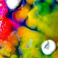 Guerilla Toss - Famously Alive (Clear Purple Vinyl) ryhmässä VINYYLI @ Bengans Skivbutik AB (4120253)
