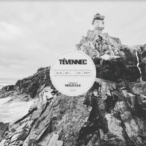 Moleculé - Tévennec (Lime Green) ryhmässä VINYYLI @ Bengans Skivbutik AB (4120650)