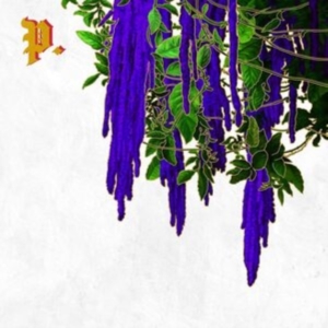 Proper. - Great American Novel (Clear & Splat ryhmässä VINYYLI @ Bengans Skivbutik AB (4126943)