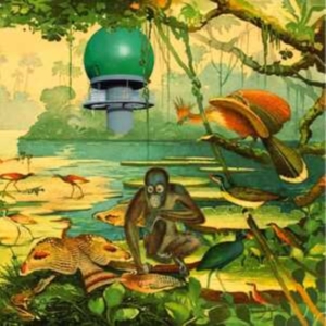 Various Artists - Radar 2 ryhmässä VINYYLI @ Bengans Skivbutik AB (4131518)