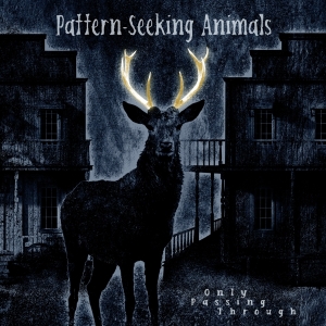 Pattern-Seeking Animals - Only Passing Through ryhmässä VINYYLI @ Bengans Skivbutik AB (4132969)
