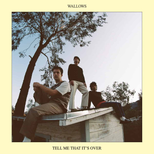 Wallows - Tell Me That It S Over ryhmässä CD @ Bengans Skivbutik AB (4135242)