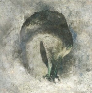 Suma - Ashes ryhmässä CD @ Bengans Skivbutik AB (4135818)
