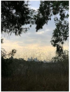 Porras Jon - Arroyo ryhmässä VINYYLI @ Bengans Skivbutik AB (4139690)