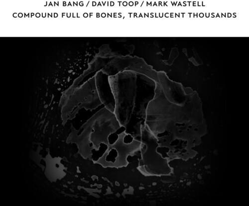 Jan Bang / David Toop / Mark Wastel - Compound Full Of Bones Translucent ryhmässä CD / Dans/Techno @ Bengans Skivbutik AB (4139714)