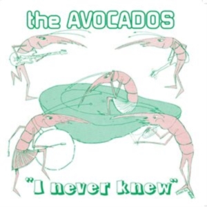 Avocados - I Never Knew ryhmässä VINYYLI @ Bengans Skivbutik AB (4143142)