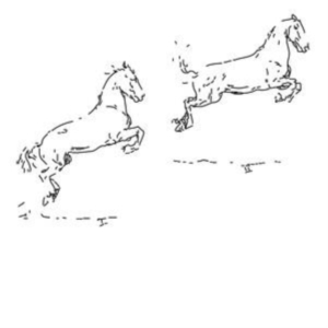 Hofmann Leo - Kapriole ryhmässä VINYYLI @ Bengans Skivbutik AB (4143161)